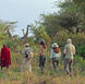 Silent walking safaris, like this one offered by Chem Chem, invite guests to connect with the bush on a more primal level. The Chem Chem safari is led by a Masai guide.