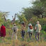 A growing trend: Safaris that engage all of the senses