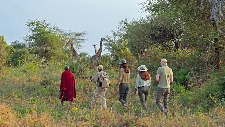 Silent walking safaris, like this one offered by Chem Chem, invite guests to connect with the bush on a more primal level. The Chem Chem safari is led by a Masai guide.