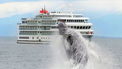 The American Constellation in Alaska.