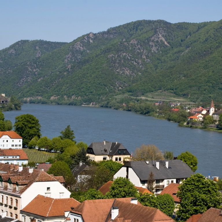 Danube River Cruises