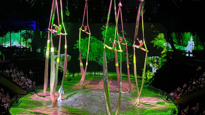 A Shanghai acrobatics show was a worth an hour-long drive to get there.