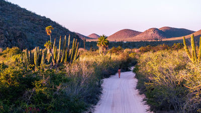 The Los Cabos Tourism Board has launched a new digital platform designed to enhance trip planning for both travelers and travel advisors.