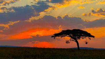 Serengeti National Park in Tanzania is among the stops on Collette's African Safari: Kenya and Tanzania tour.