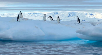 Chinstrap penguins loiter on an iceberg during an Antarctic cruise with Quark Expeditions.