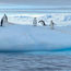 Reveling in the beauty of Antarctica aboard Quark Ultramarine