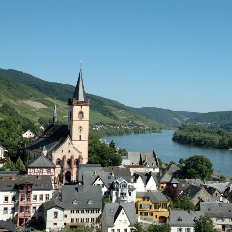 Rhine River Cruises