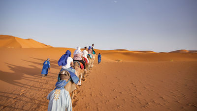 Guests on an Intrepid Travel tour ride camels in Morocco.