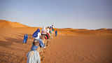 Guests on an Intrepid Travel tour ride camels in Morocco.