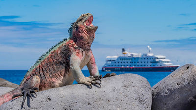 Sponsored: Hurtigruten Expeditions Grand Expeditions Brochure 2023-2024