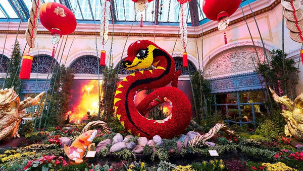 The Year of the Snake display at Bellagio’s Conservatory & Botanical Gardens will run through March 1.